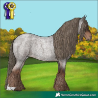 Horse Color:Liver Red Roan Rabicano 