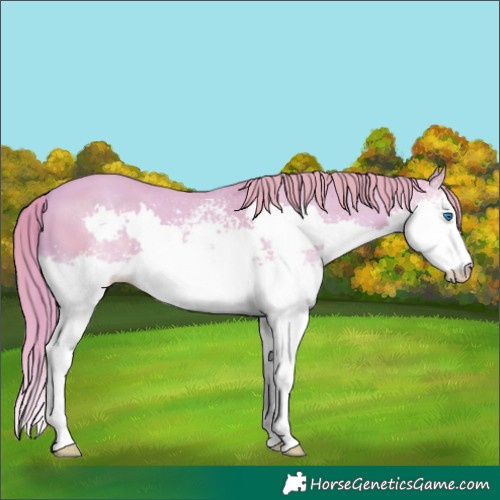Horse Color:Watercolor White Spotted Gold Champagne Splash
