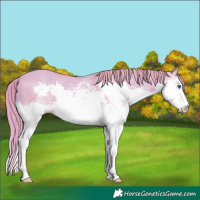 Horse Color:Watercolor White Spotted Gold Champagne Splash 