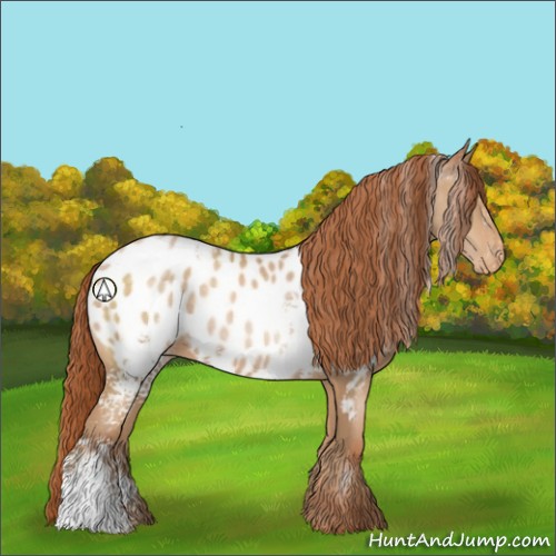 Horse Color:White Spotted Buckskin Pearl Appaloosa