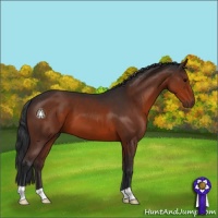 Horse Color:Brown 