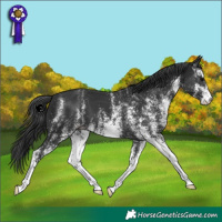 Horse Color:White Spotted Black 