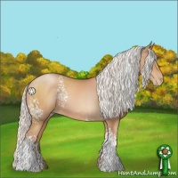 Horse Color:White Spotted Silver Brown Pearl 