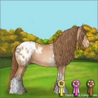 Horse Color:White Spotted Bay Pearl Appaloosa 