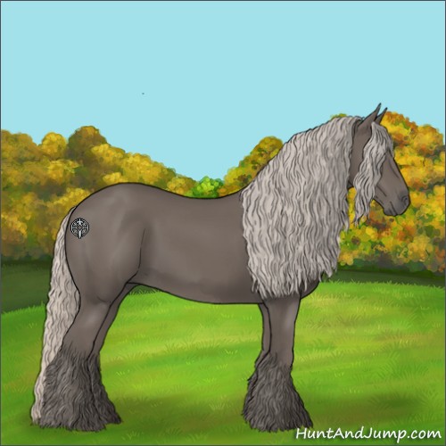 Horse Color:Unknown 