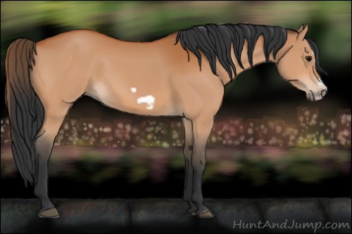 Horse Color:Bay Splash Frame 