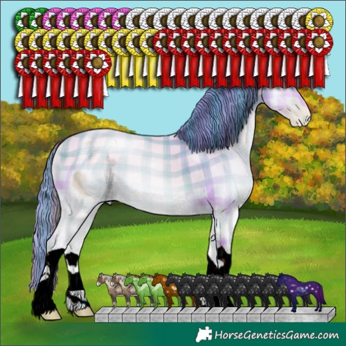 Horse Color:ERROR: UNKNOWN ANOMALY