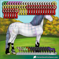 Horse Color:ERROR: UNKNOWN ANOMALY
