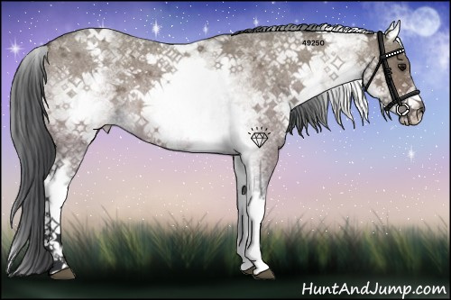 Horse Color:White Spotted Bay Roan Dun Rabicano 
