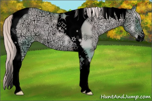 Horse Color:Void Watercolor Chocolate Palomino Ice Pearl Onyx Sabino Tobiano Rabicano 