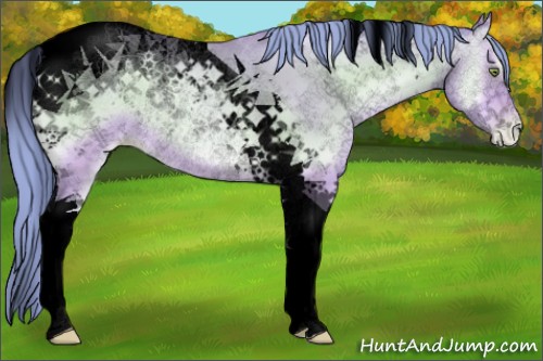 Horse Color:Void Watercolor Sable Champagne Pearl Onyx Tobiano Rabicano