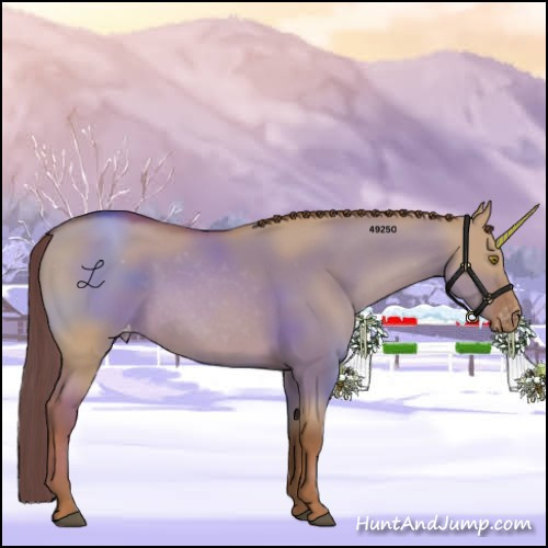 Horse Color:Red Dun Sabino Appaloosa 