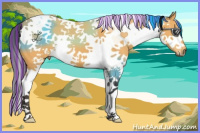 Horse Color:Painted Buckskin Splash Tobiano 