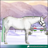 Horse Color:Gray Painted Watercolor White Spotted Palomino Onyx 