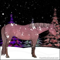 Horse Color:White Spotted Chocolate Palomino Dun 