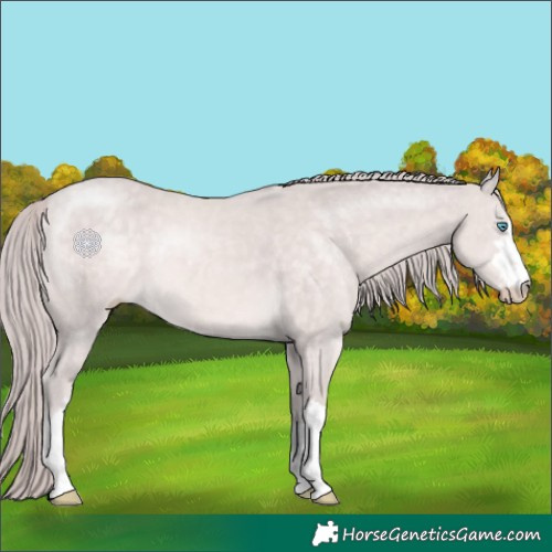 Horse Color:Platinum Chocolate Perlino 