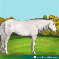 Horse Color:Platinum Chocolate Perlino 