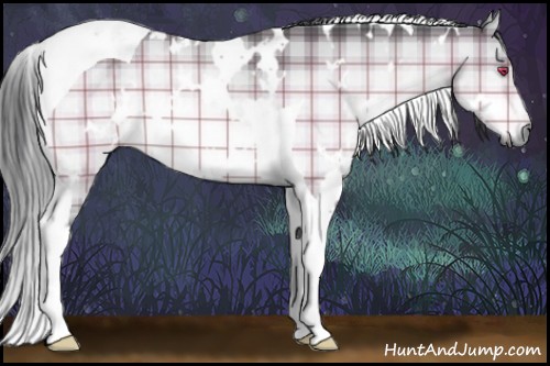 Horse Color:Plaid  White Spotted Bay Chinchilla Tobiano 