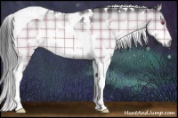 Horse Color:Plaid  White Spotted Bay Chinchilla Tobiano 