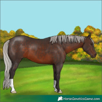 Horse Color:Silver Brown 