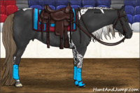 Horse Color:Liver Chestnut Tobiano Rabicano
