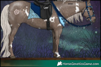 Horse Color:White Spotted Silver Black 