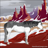 Horse Color:Brown Roan Splash 