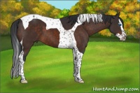 Horse Color:Brown Splash Tobiano