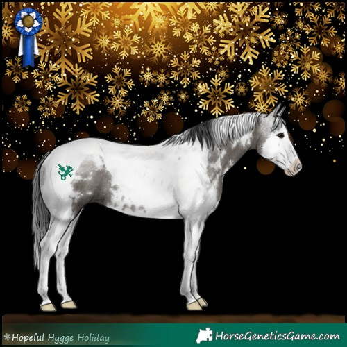 Horse Color:White Spotted Grullo Splash Tobiano Rabicano 