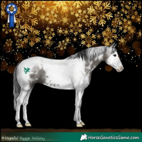 Horse Color:White Spotted Grullo Splash Tobiano Rabicano 