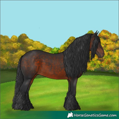 Horse Color:Brown 