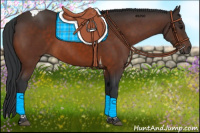 Horse Color:Bay Tobiano 