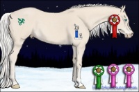 Horse Color:Silver Smoky Creme Roan 