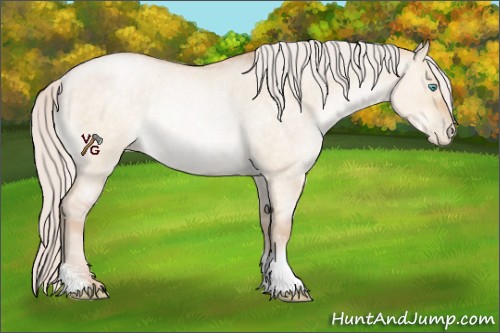 Horse Color:Silver Buckskin Roan Pearl Dun Rabicano 