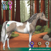 Horse Color:Silver Brown Dun Tobiano 