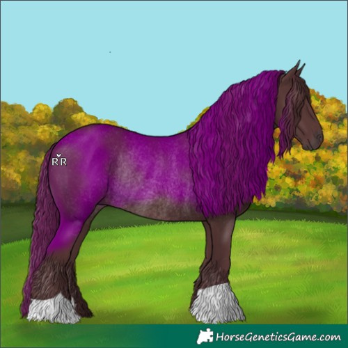 Horse Color:Chocolate Black Rabicano