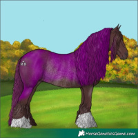 Horse Color:Chocolate Black Rabicano