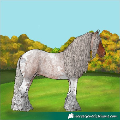 Horse Color:Silver Brown Roan Tobiano 