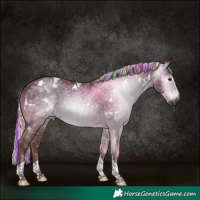 Horse Color:Gray Platinum Painted White Spotted Chocolate Silver Brown Tobiano 