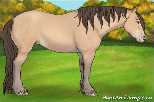 Horse Color:Amber Champagne 