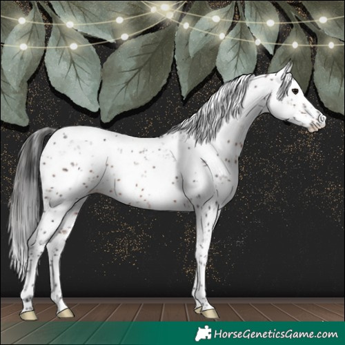 Horse Color:Brown Sabino 