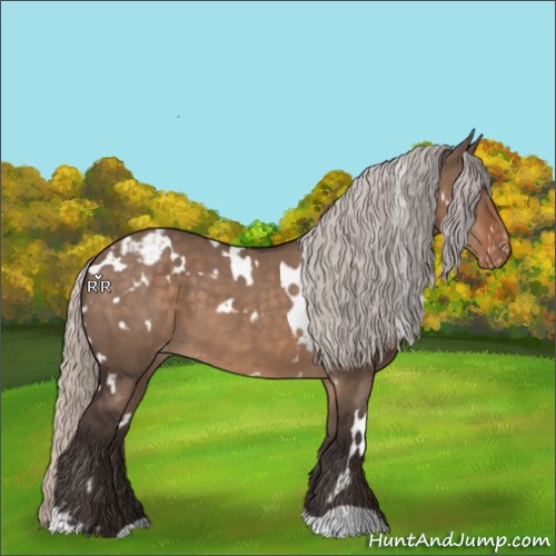 Horse Color:White Spotted Silver Brown Dun Varnish 