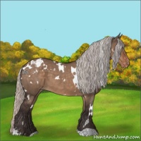 Horse Color:White Spotted Silver Brown Dun Varnish