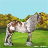 Horse Color:White Spotted Silver Brown