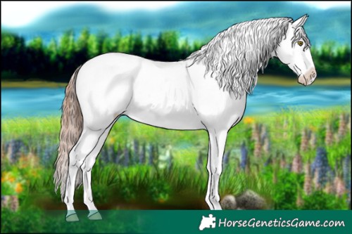 Horse Color:Classic Champagne Sabino Tobiano Varnish 