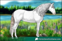Horse Color:Classic Champagne Sabino Tobiano Varnish 