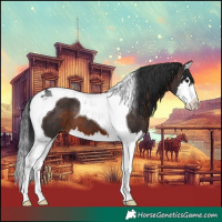 Horse Color:Brown Splash Tobiano Varnish 