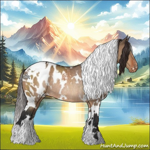 Horse Color:White Spotted Brown Dun Appaloosa Rabicano