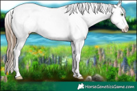 Horse Color:White Spotted Liver Red Dun Pearl Snowcap