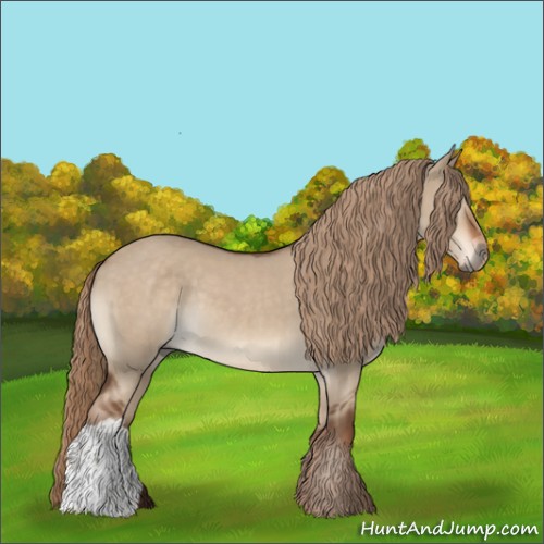 Horse Color:Liver Red Dun Rabicano 